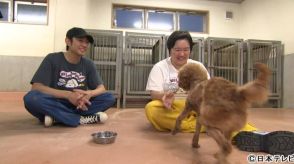 「嗚呼!!みんなの動物園」やす子が初参加！ 相葉雅紀と保護犬トリミング