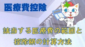 医療費控除に該当する医療費の範囲と控除額の計算方法を解説