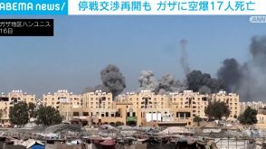 停戦交渉再開も イスラエル軍がガザに空爆 17人死亡