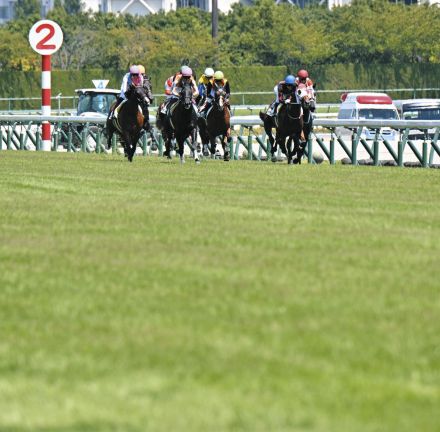 夏の”中涼競馬”で涼んでみる？　酷暑の中の競馬開催は、人も馬も芝もあの手この手で暑熱対策【競馬の話をしよう。】