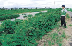 クマ近寄らせない　昨年、人身被害あった富山・熊野　住民が対策委結成