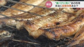 焼肉・うなぎは間違いだった?夏バテに本当に効くメニューは意外にも…