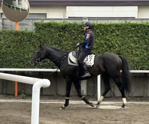 【札幌記念】ステラヴェローチェは角馬場で調整　藤原助手「いい雰囲気」