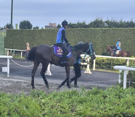 【札幌記念】ドゥラエレーデは角馬場で運動　寺田助手「状態は上がっています」