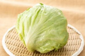 レタスは冷凍できる！やってしまいがちな4つのNGを野菜ソムリエが解説