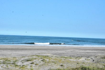 請戸海岸生かしてにぎわい創出へ　福島県浪江町が９月１５日「浜まつり」　海水浴場再開目指す