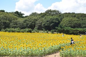 【超王道】やっぱり夏に聞きたい！ 夏らしさ全開な曲3選。ミセスのド定番青春曲から今年26年ぶりに“再録”された2人組のメジャーデビュー曲など