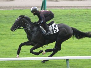 【札幌記念】昨年２着のトップナイフは今年も大駆け狙う　陣営「洋芝は適性があると思う」