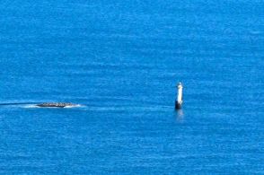 北方領土・貝殻島の灯台にロシア国旗を設置か　根室海上保安部が確認