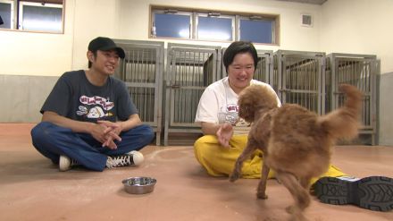 大の動物好き・やす子が相葉雅紀の保護犬トリミングに初参加『嗚呼!!みんなの動物園』