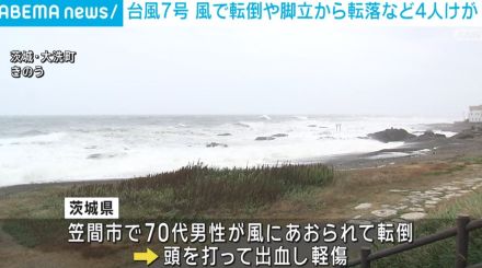 台風7号 風で転倒や脚立から転落など4人けが