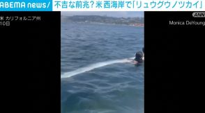 不吉な前兆か 米・西海岸で深海魚「リュウグウノツカイ」見つかる