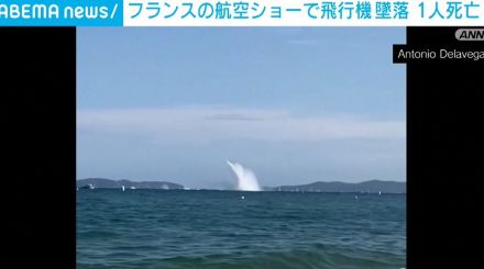 航空ショーで飛行機が墜落 パイロット1人死亡 仏