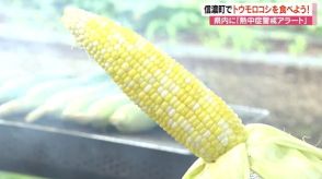 「あまいなぁ～」信濃町でトウモロコシを食べよう！収穫して焼きもろこしに　夏休みの親子に人気