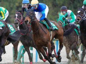 【CBC賞予想】芝コースは絶好コンディション 高速決着は必至のスピード勝負を制すのは？