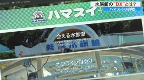 “なんか変わるで桂浜水族館”　デジタル化をオンライン餌やりや飼育員の居場所確認に活用　生き物や飼育員の推し活に