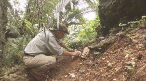 戦没者の遺骨を米軍基地の埋め立てに…沖縄で42年間“骨を掘る男”の活動を基地問題が翻弄「冒涜は許さない」