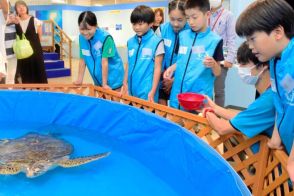 いよてつ高島屋「水族館」で飼育員の仕事体験　児童ら餌やりや水槽清掃（愛媛）