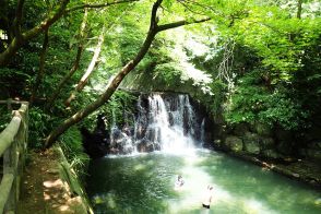 大都会の横浜に滝が？　箱根駅伝の戸塚中継所至近な住宅街にある秘境公園でアドベンチャー気分に浸る