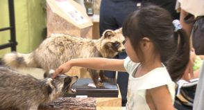 生態系に被害　外来生物の問題を学ぶイベントが神戸で開催／兵庫県