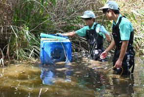 「トンボの楽園」桶ケ谷沼の生態系守れ　磐田農高生が外来種カメ駆除のわな設置　堆肥化も目指す