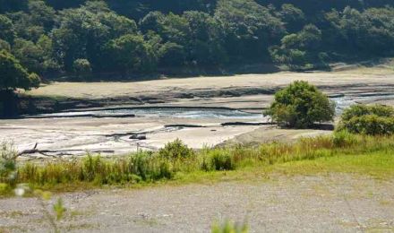 水上村の市房ダム、貯水率26・6%　少雨の影響、コメ収量の影響懸念