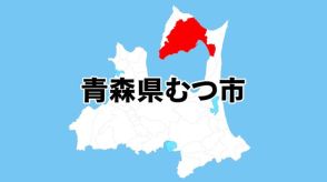 「おしまこ流し踊り」優雅に 盛岡さんさ踊りも一緒に行列に加わる　むつ市