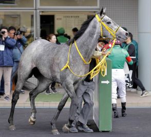 【キーンランドＣ・ヤマタケの特注馬】２年ぶり参戦の３歳馬　好走パターンを踏襲するエトヴプレは出来も◎