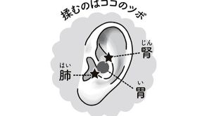 【耳掃除感覚で“痩せ体質”を引き寄せる！？】たった1分でできる「耳ヨガ」