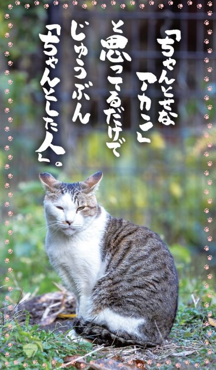 おひとりさまは、責任感が強い人が多い。日々相談を受けるネコ坊主さんが教える、不安から解放される方法