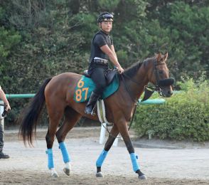 【新潟２歳Ｓ・角田の特注馬】２２年覇者キタウイングの全妹キタノクニカラはコース替わりがプラスだ