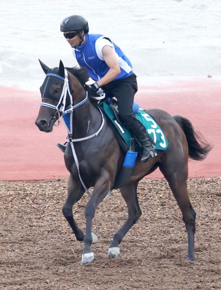 【新潟２歳Ｓ】長い直線を味方にマジカルフェアリーが躍動　寺島調教師「ゆったりした流れの新潟もいいと思う」