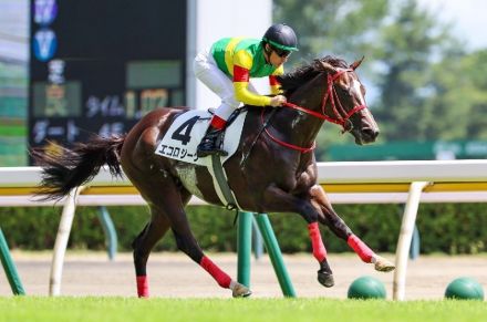 またしても“森秀厩舎のマル外馬”　余裕の5馬身差圧勝エコロジークに★6つ！【2歳馬チェック】