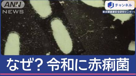 なぜ？令和に「赤痢菌」食中毒  強い感染力＆潜む“落とし穴”