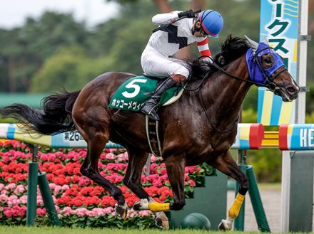 【小倉SJ想定騎手】ホッコーメヴィウスは小牧加矢太騎手、ロスコフは草野太郎騎手