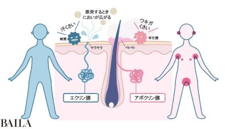 「体がニオいやすいのはどんな人？」体臭予防5つの習慣を医師がアドバイス