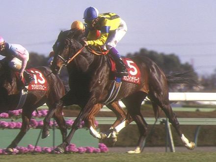 3頭の菊花賞馬を輩出した名種牡馬「ダンスインザダーク」 印象とは裏腹に幅広い距離適性を示す晩成型の傾向