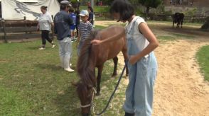 子どもたちがヨナグニウマと触れあい飼育員を体験　沖縄こどもの国