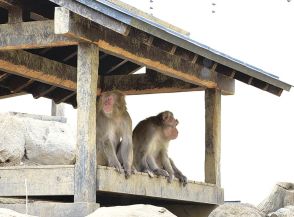 猛暑対策で動物も「涼」　長野県松本市のアルプス公園で工夫凝らす