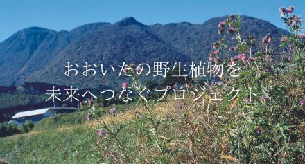 大分の野生植物を未来に残したい　写真展開催と貴重な学術資料のデジタル・アーカイブ化に向けクラウドファンディングに挑戦