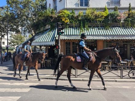 「公道を馬が歩いている！」パリ街中で遭遇した“馬が身近すぎる”驚きのフランス馬事情「馬糞を見るのも日常」「馬術の競技人口は日本の約100倍」