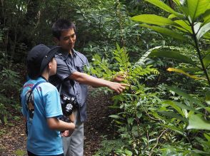 鹿児島県　鹿大研究者と学ぶ　奄美の植物・生き物観察　鹿児島市内・県外の小中学生