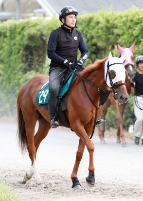 【新潟２歳Ｓ】同舞台で新馬Ｖのプロクレイアが連勝狙う　小林調教師「競馬にいってセンスのいい走り」