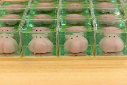 「固まるまで目が離せません」　活きが良すぎる！　アイデアたっぷりのネオ和菓子に6.1万“いいね”