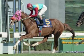 １９９６年皐月賞馬イシノサンデー３１歳で死す「無事これ名馬を体現」　１６年まで種牡馬としてけい養