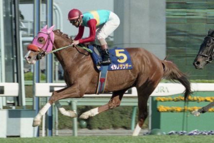 １９９６年皐月賞馬イシノサンデー３１歳で死す「無事これ名馬を体現」　１６年まで種牡馬としてけい養