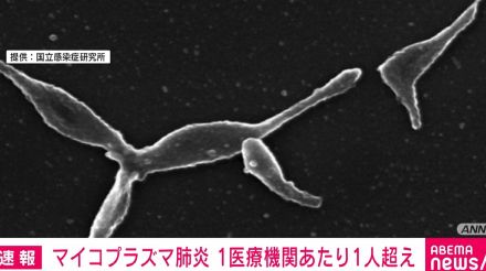 マイコプラズマ肺炎 6週連続の患者数増で8年ぶりの水準に