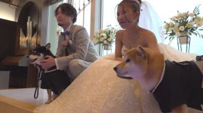 柴犬の散歩で出会った飼い主たちが結婚!　“縁結びワンコ”がリングボーイに【福井発】