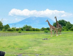 「アジア太平洋都市サミット」開催へ　「つながる」都市政策を議論