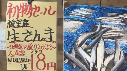 札幌では衝撃の“1尾18円”…にわかに列島沸かせた『サンマフィーバー』連日の豊漁でお値段いかほどに